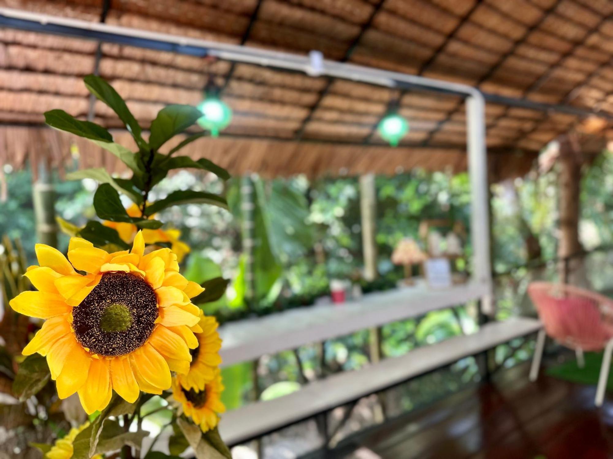 Nua Tone Resort Bang Tao & Cafe Экстерьер фото